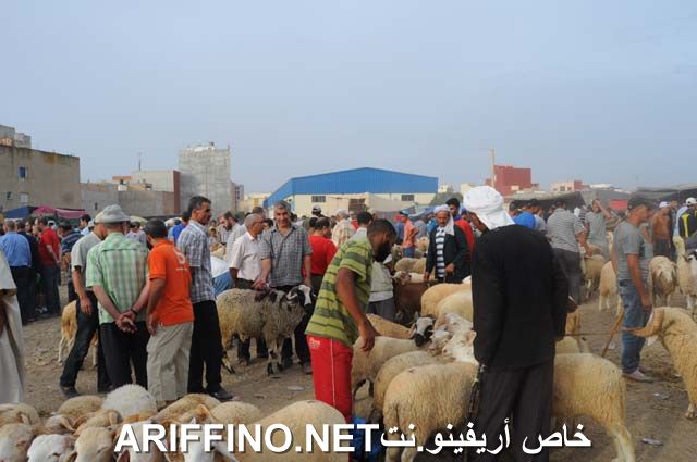 nador2321