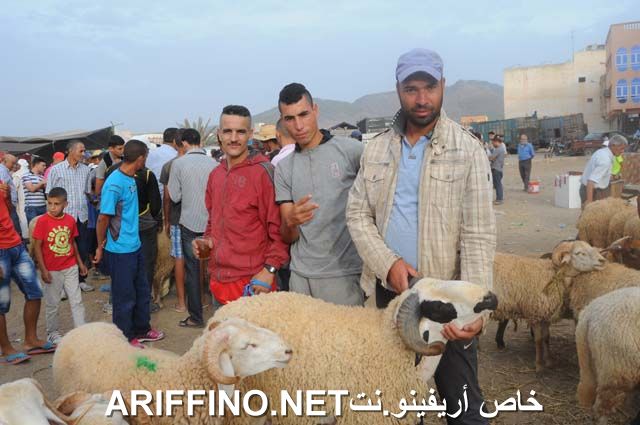 nador2323