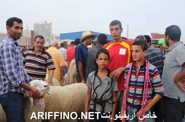 nador2326