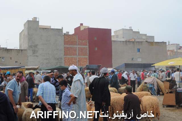 nador2330