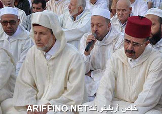 nador2355