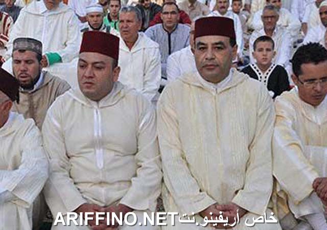 nador2365