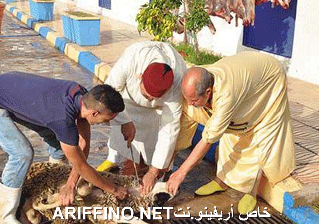 nador2378
