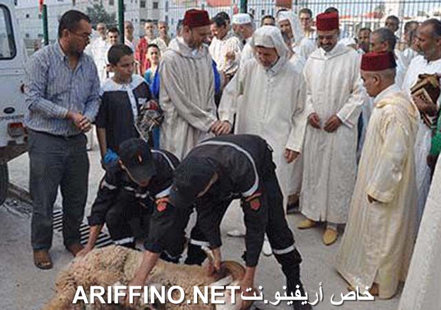 nador2380