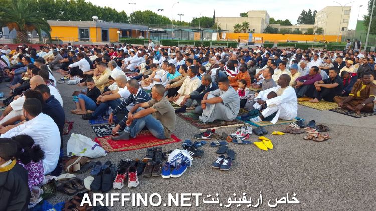 nador2442