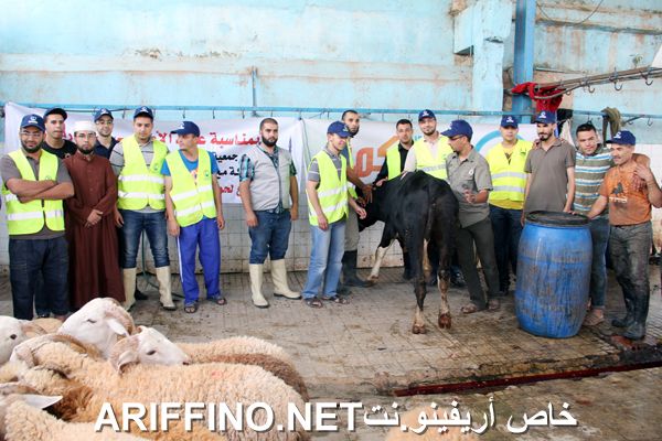 nador2444