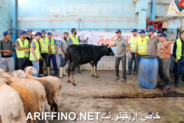 nador2445