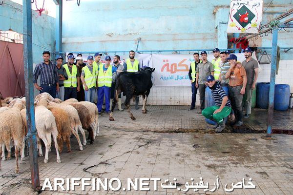 nador2446