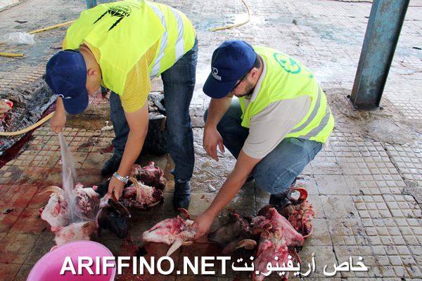 nador2448