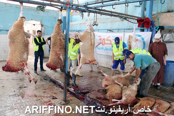 nador2449