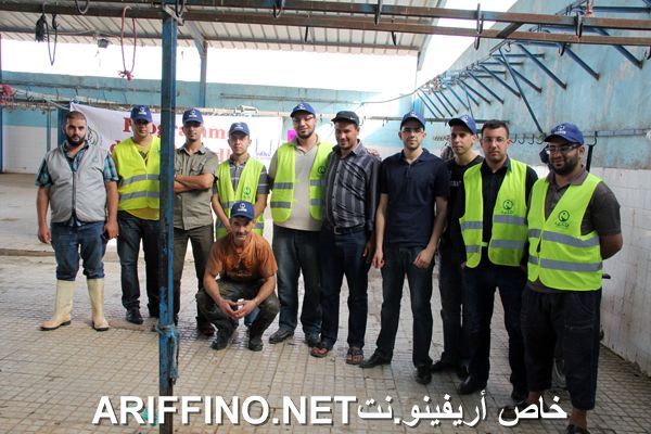 nador2451