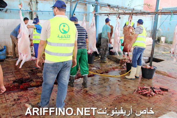 nador2452