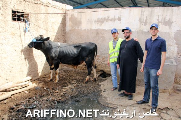 nador2456