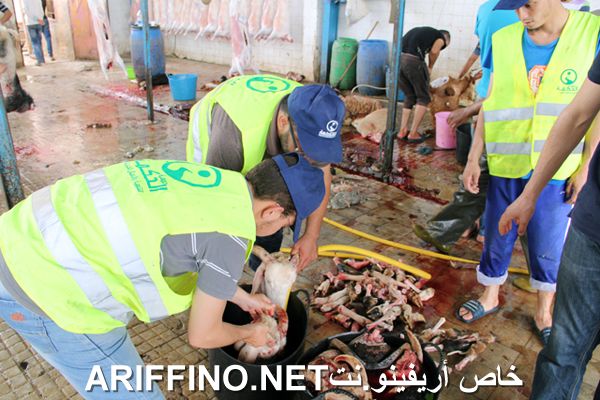 nador2458
