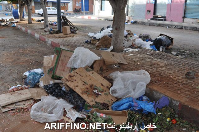 nador2482