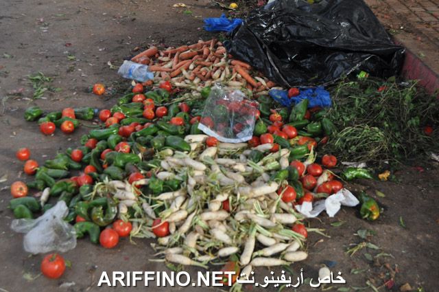 nador2486