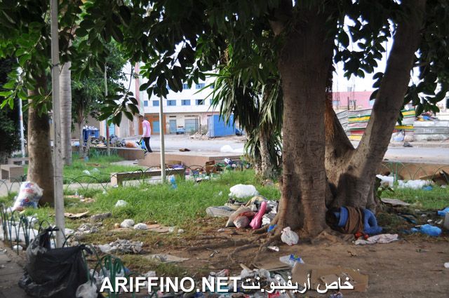 nador2491