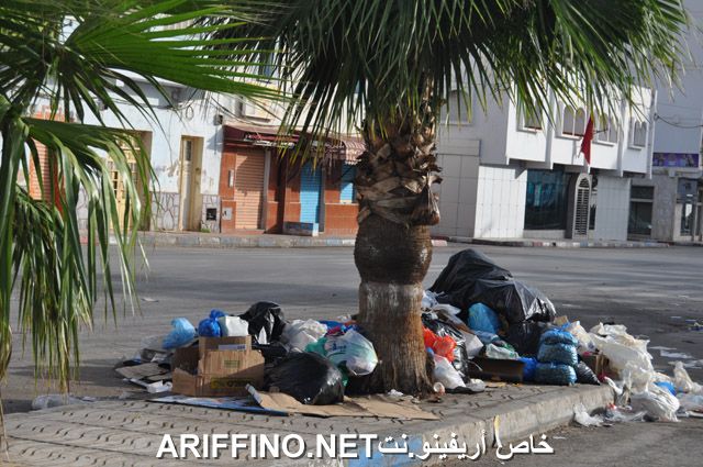 nador2499