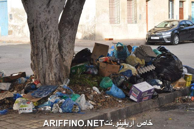 nador2508