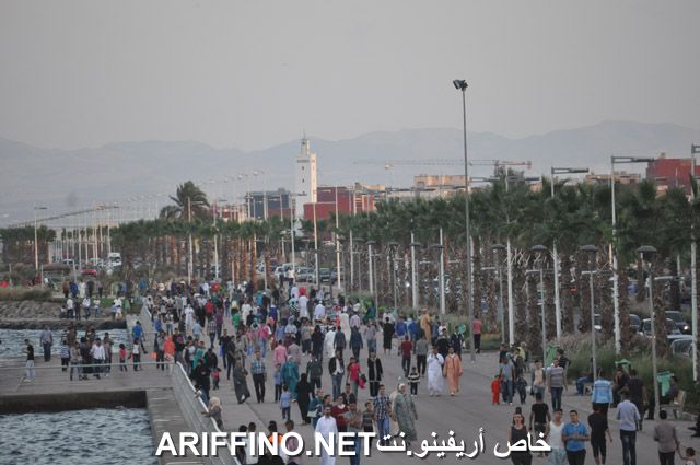 nador2512