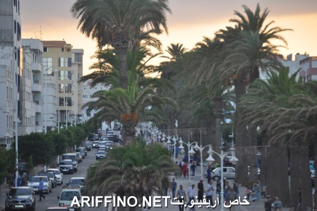 nador2513