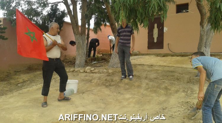 nador2537