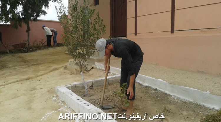 nador2539