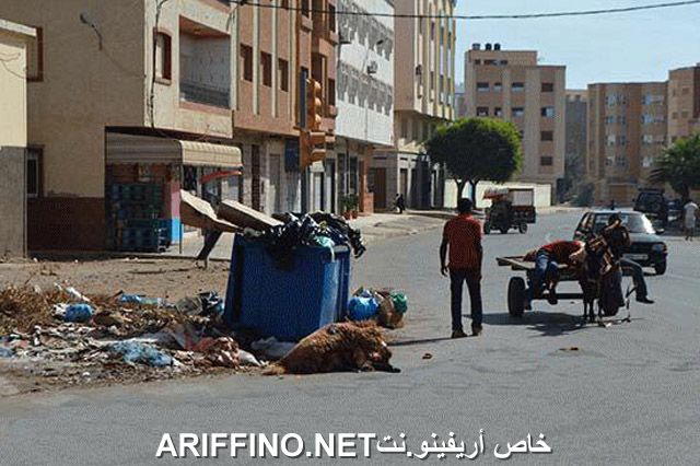 nador2547