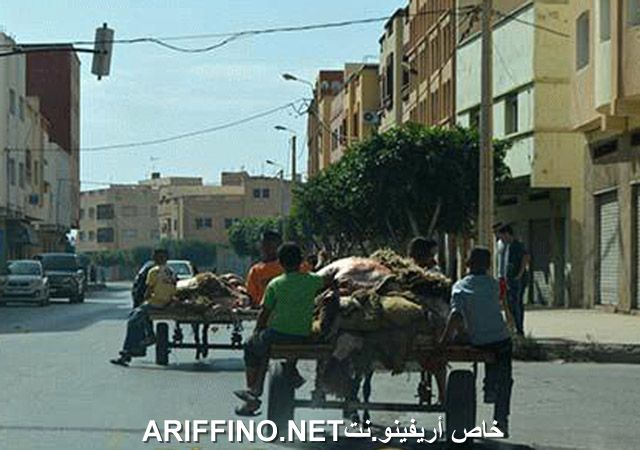 nador2554