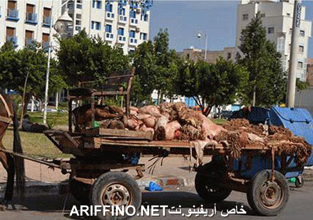 nador2557