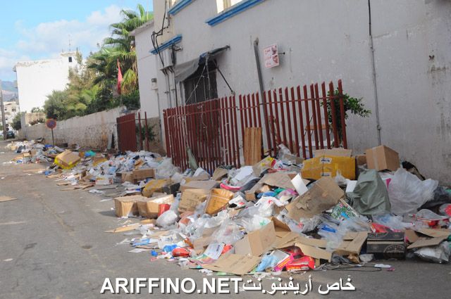 nador2558