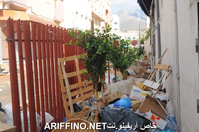 nador2564