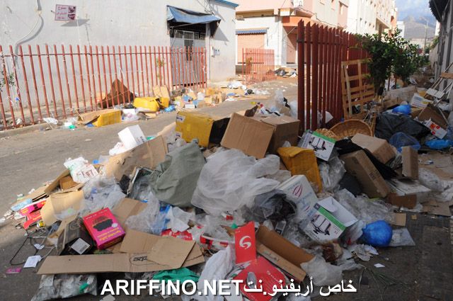 nador2565