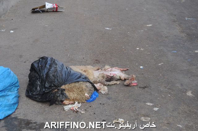 nador2575