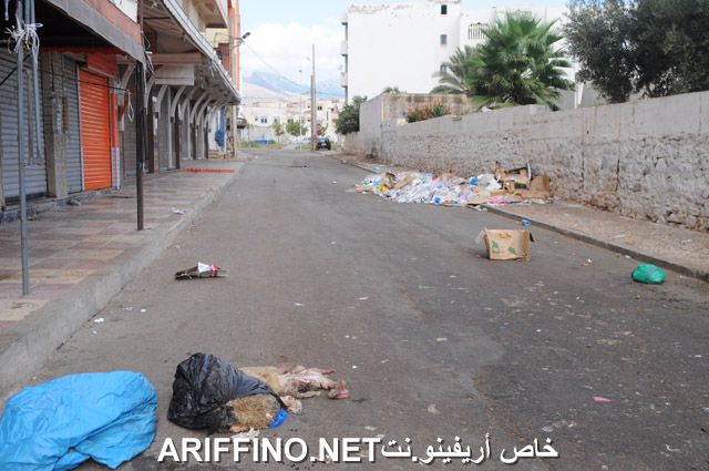 nador2576
