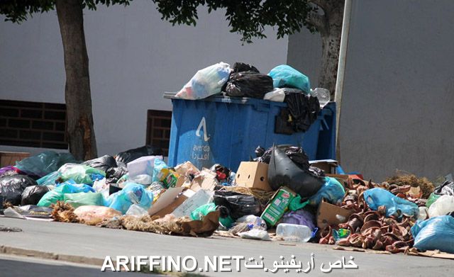 nador2578