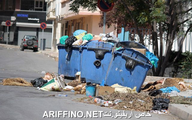 nador2579