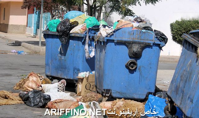 nador2580