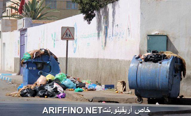 nador2581