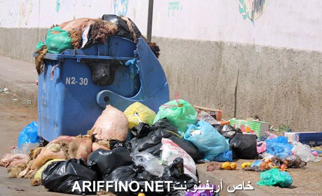 nador2582
