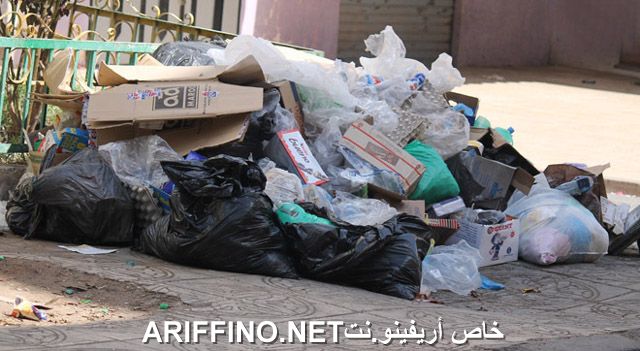 nador2584