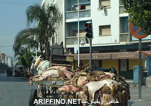 nador2588