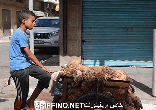 nador2589