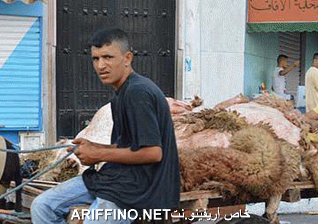 nador2590