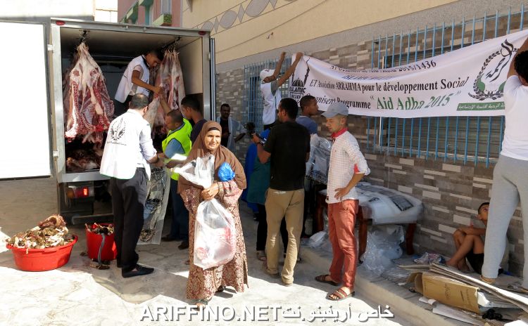 nador2604