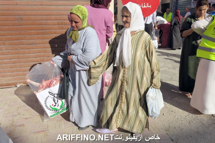 nador2613