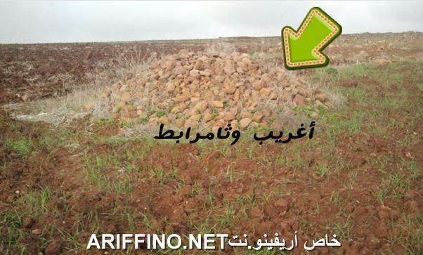 nador2806