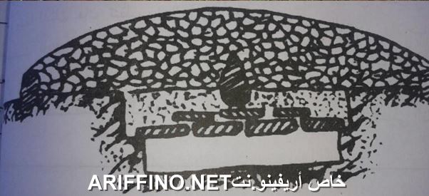 nador2807