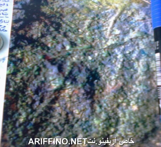 nador2808