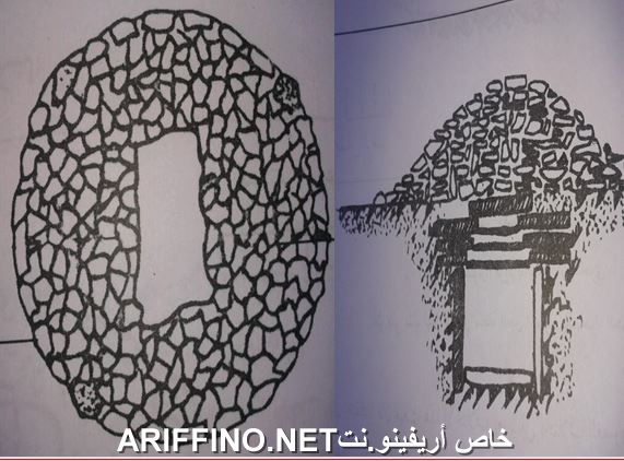 nador2811